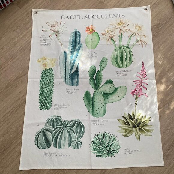 Urban Outfitters Other - Urban Outfitters Illustrative Reference Chart Tapestry In Cacti + Succulents